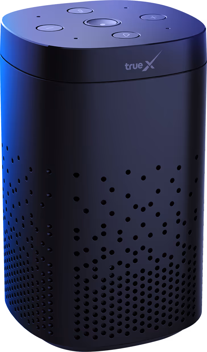 TrueX Home Hub
